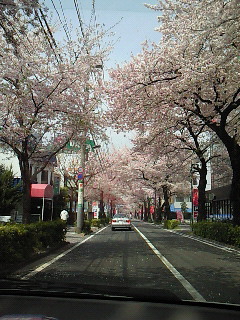 鷺ノ宮周辺（中野区・練馬区）のマッサージサロン（出張マッサージ）ｗｉｓｈｔｉｍｅは子供同伴ＯＫ・女性専用